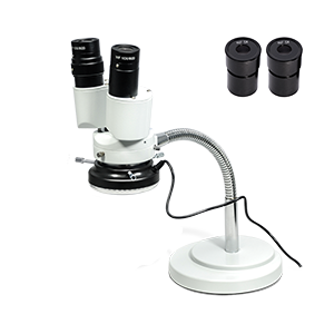 Stereo Microscope